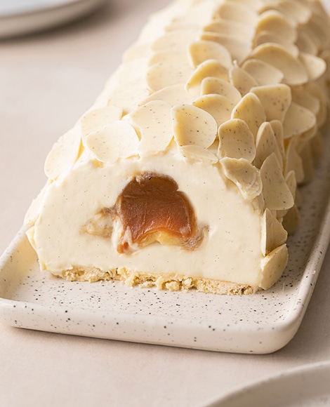 Recette-Buche-glacee-Vanille-Norohy
