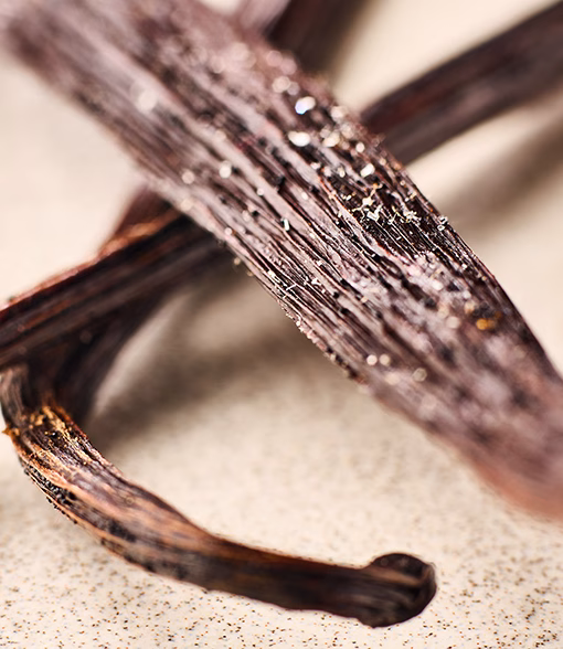 Gousse de vanille givrée NOROHY