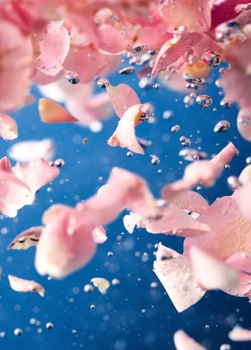 Eau de rose alimentaire : qualité