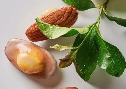 eaude-fleur-doranger-en-patisserie