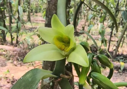 chasseurs-de-saveurs-partenariat