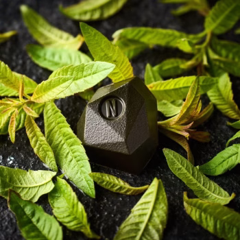Tadoka: la dosis perfecta de jengibre